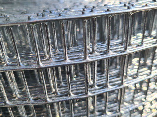 2.5-25cm ขนาด Mesh ทักษะการปั่น สาย Woven สาย Welded Mesh กว้างสาย 1mm-10mm
