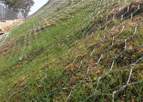 การสร้างภูมิทัศน์และการควบคุมการบดลงของป่า